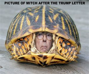 Picture Of Mitch