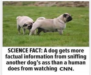 Science Fact