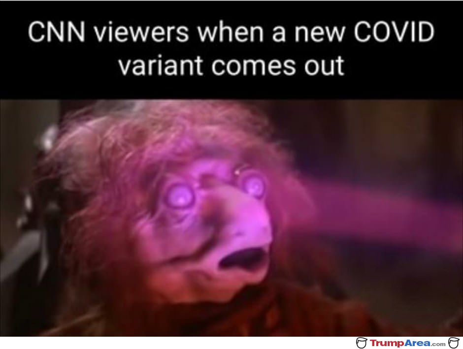 CNN viewers