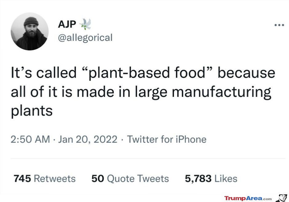 Plant Based Food