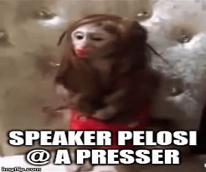 Speaker Pelosi