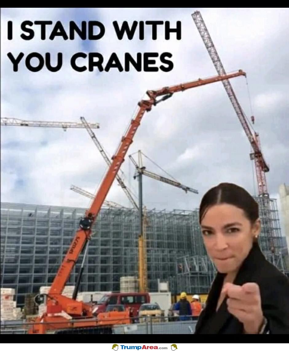 I Stand With Cranes