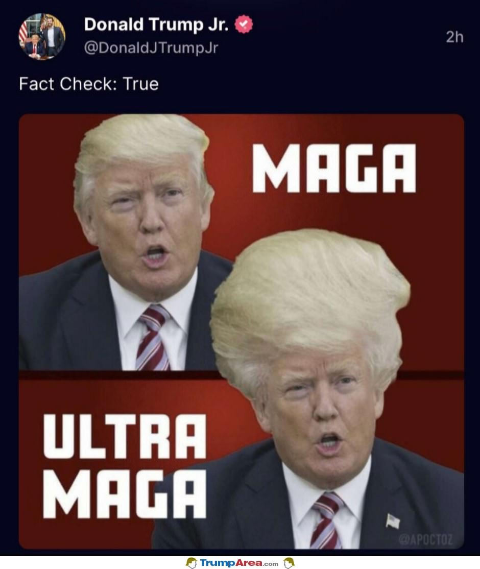 Fact Check