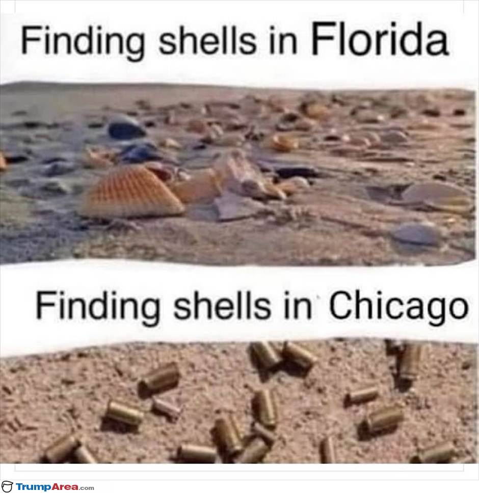 Shells