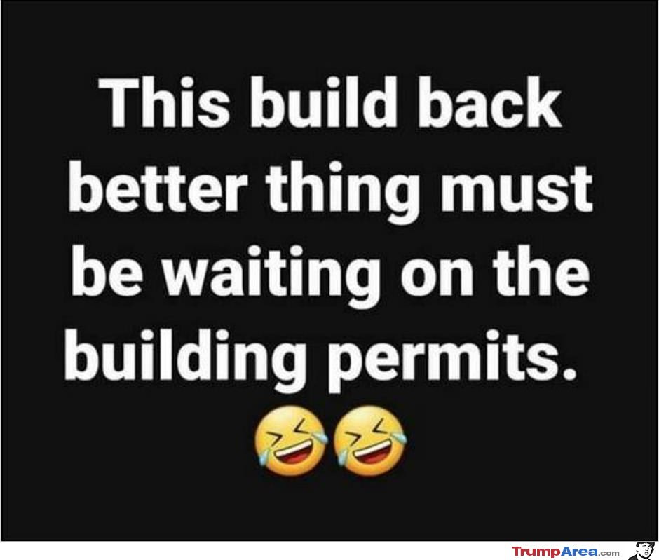 Build Back Better Thing