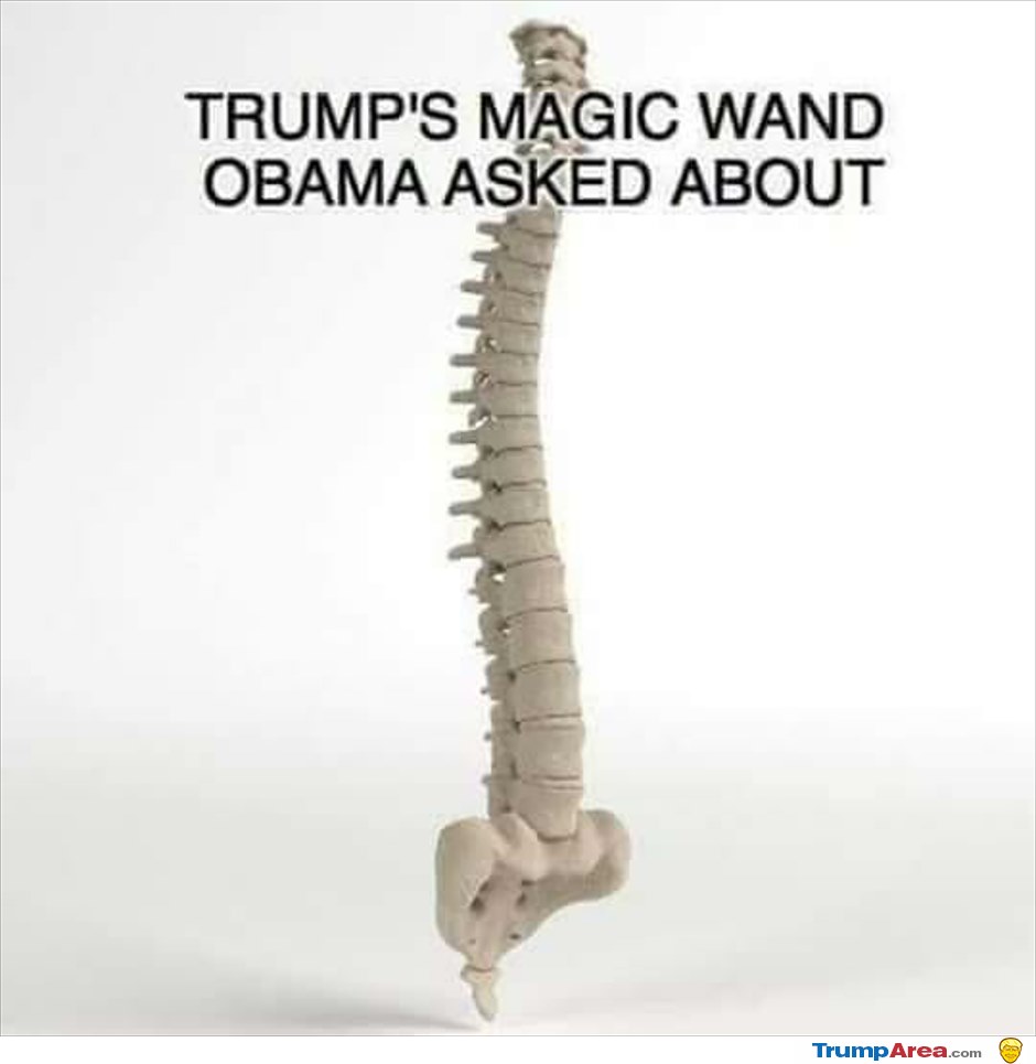 Trumps Magic Wand