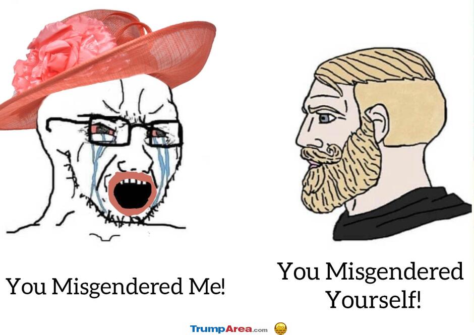 You Misgendered Me