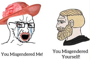 You Misgendered Me