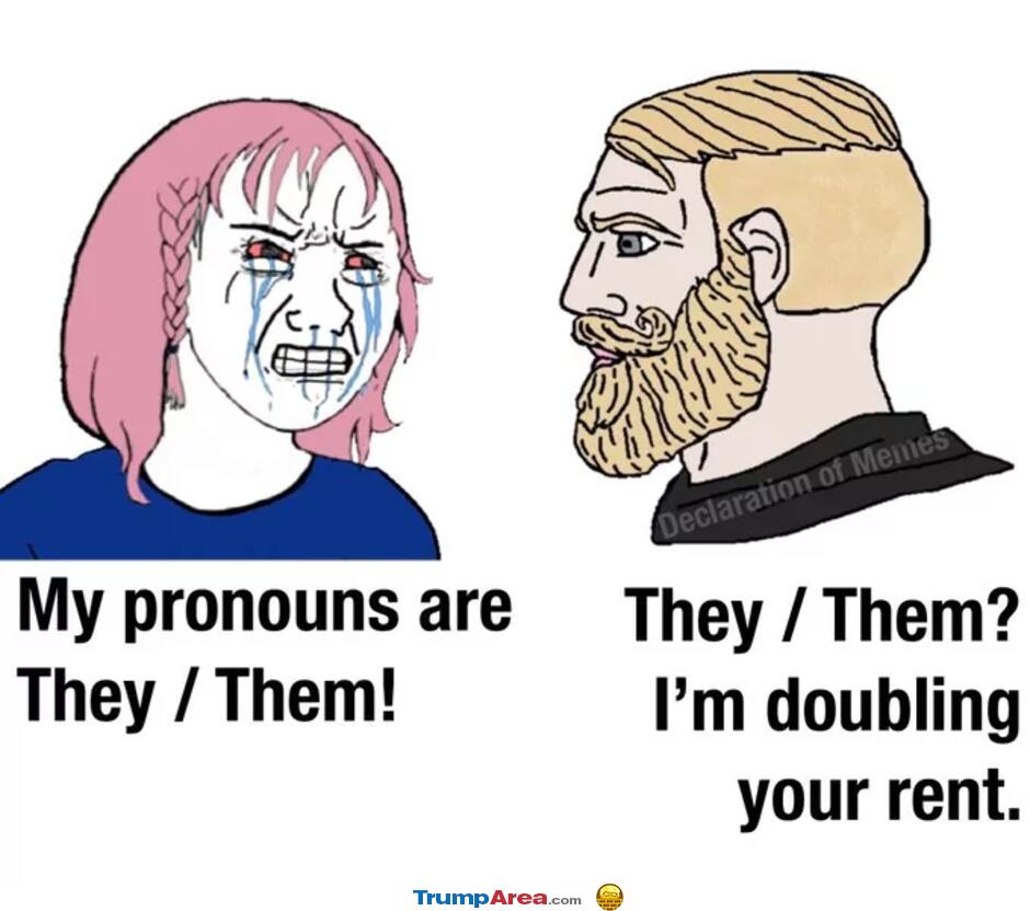 My Pronouns