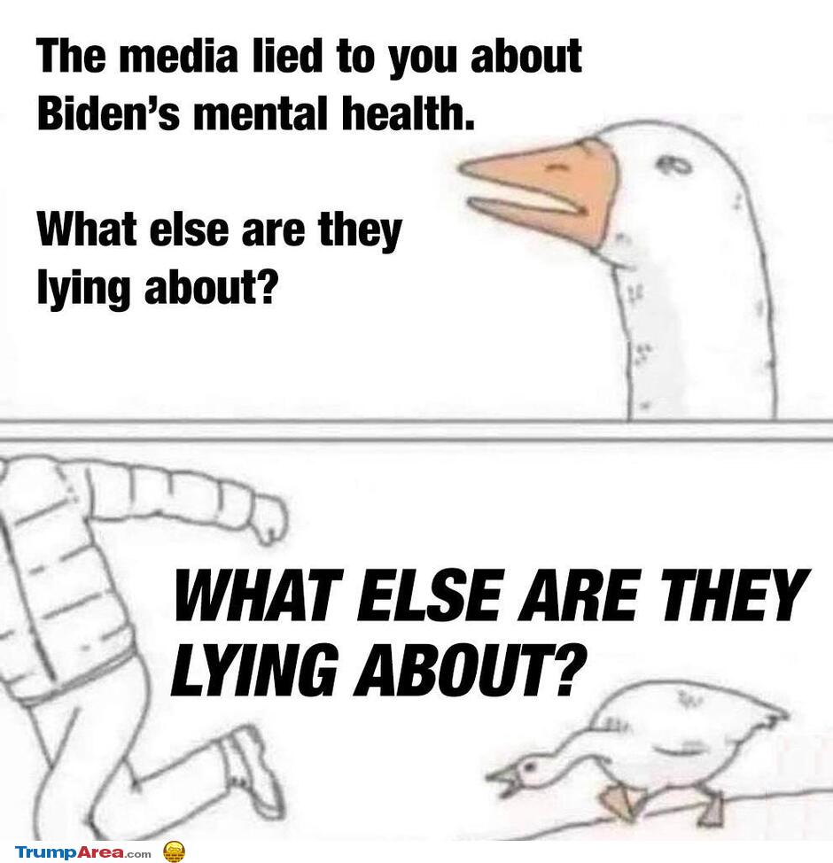 What Else Are They Lying About