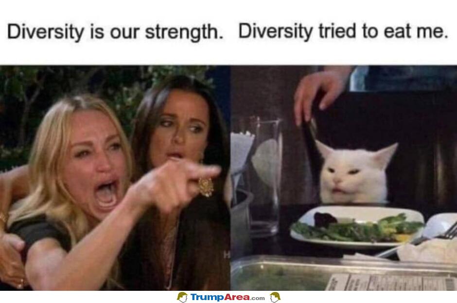 Diversity