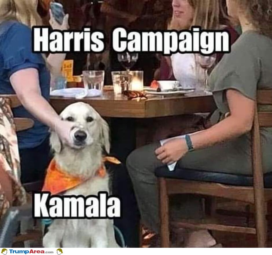 Harris Campaign