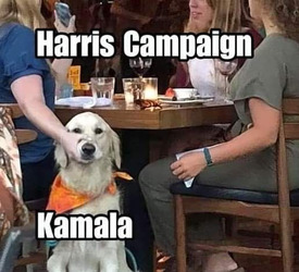 Harris Campaign