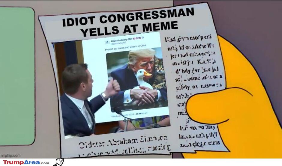 Idiot Congressman