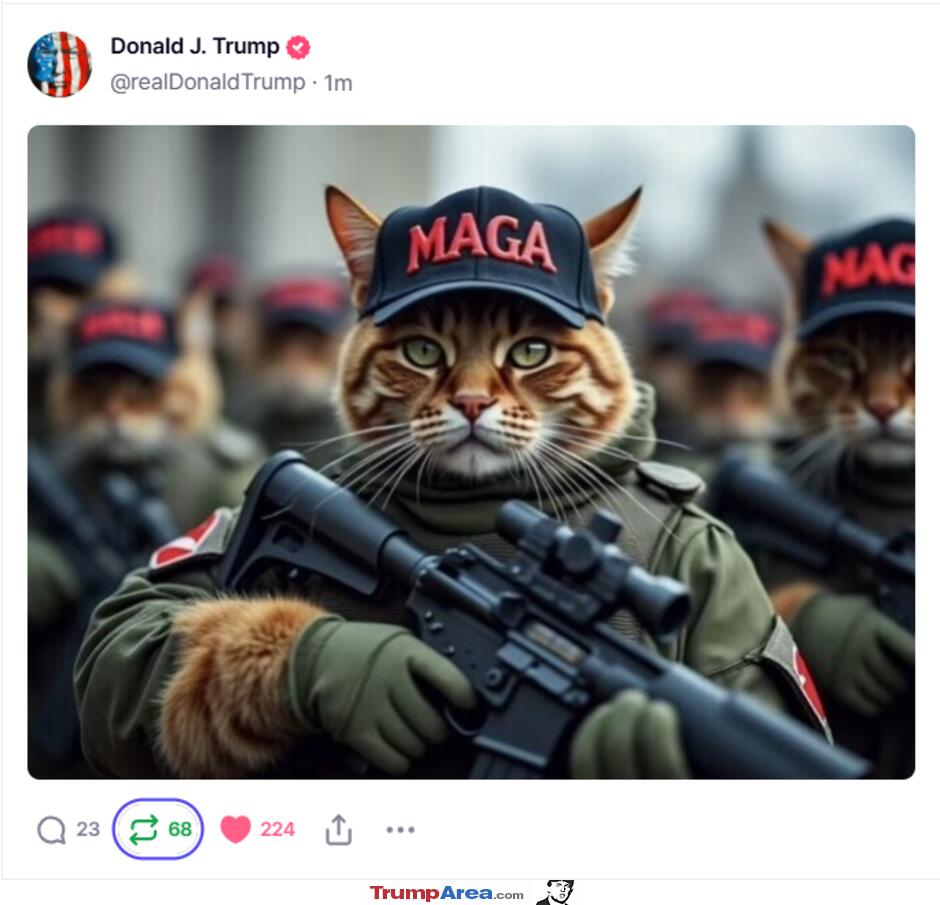 Maga Cats