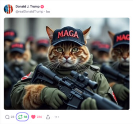 Maga Cats