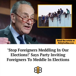 Stop The Meddling