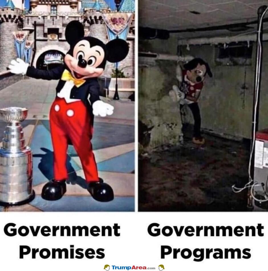 The Government