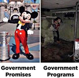 The Government