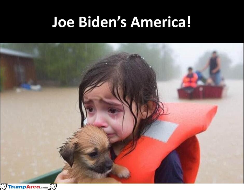 Joe Bidens America