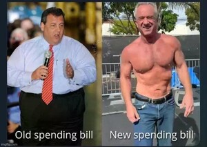 Spending Bills