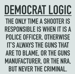 Democrat Logic