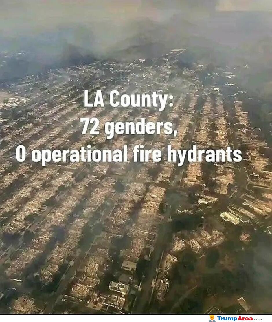 facts of LA