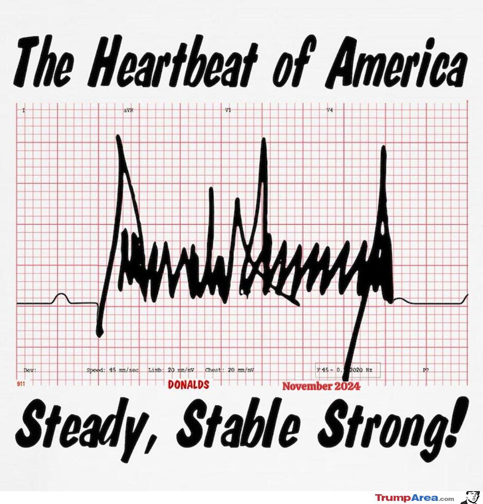 The Heartbeat