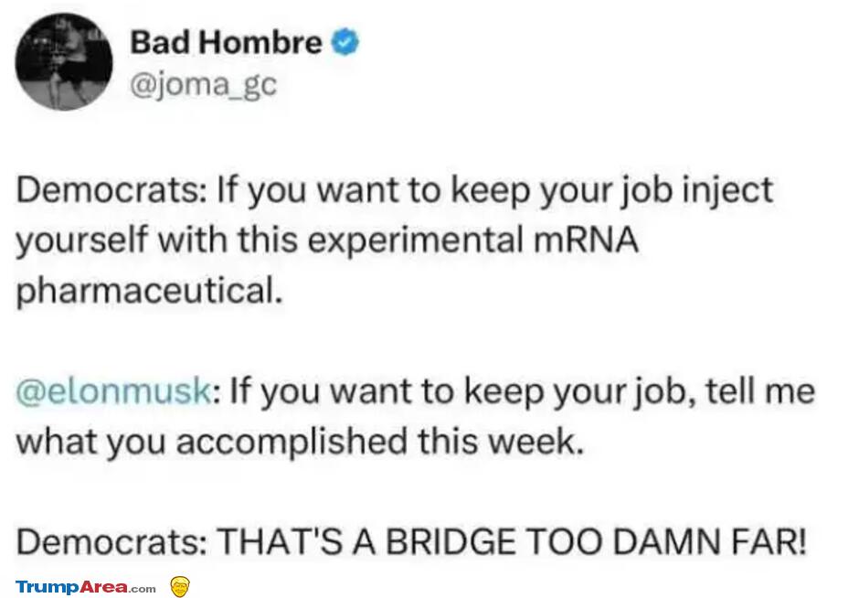 Bridge Too Far