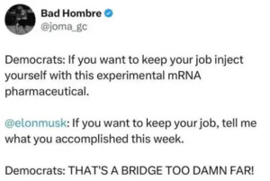 Bridge Too Far