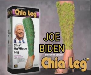 Chia Leg