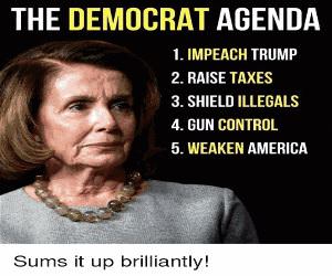 Democrat Agenda