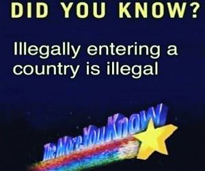 Did You Know