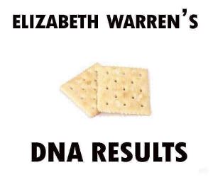 elizabeth warrens DNA