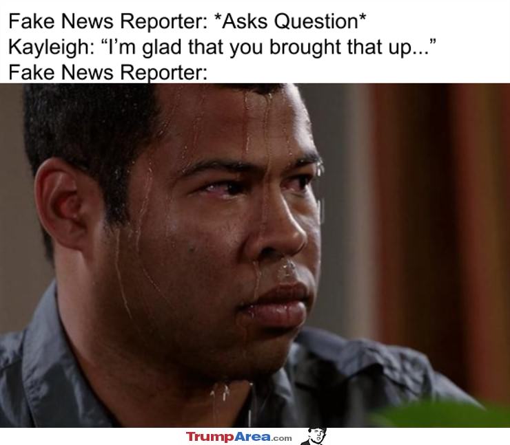 Fake News Reporter