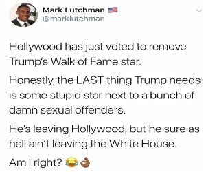 Hollywood Star