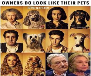 Owners Who Look Like Their Pets