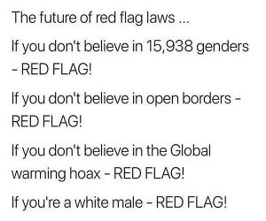 Red Flag Laws