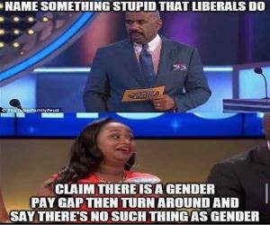 Something Stupid Liberals Do