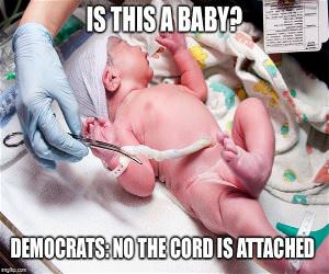 The Democrat Logic On Babies