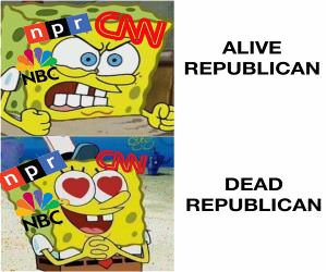 The Media