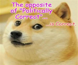 The Opposite Of Politically Correct