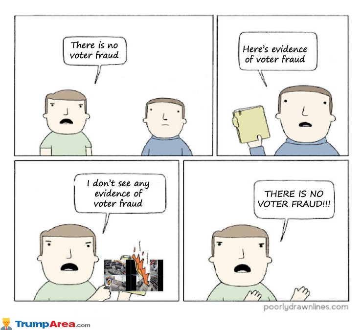 Voter Fraud