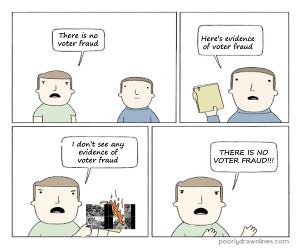 Voter Fraud